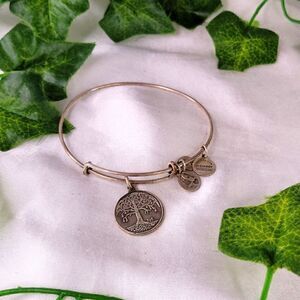 Alex and Ani. Energy Bangle. OSFA. EUC